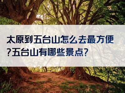 太原到五台山怎么去最方便？五台山有哪些景点？