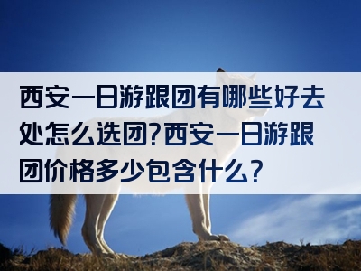 西安一日游跟团有哪些好去处怎么选团？西安一日游跟团价格多少包含什么？