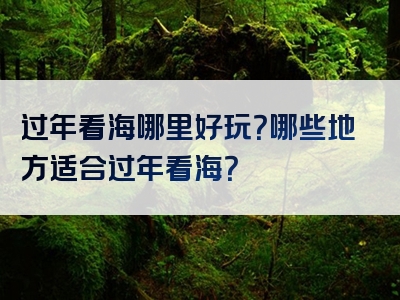 过年看海哪里好玩？哪些地方适合过年看海？