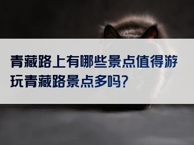 青藏路上有哪些景点值得游玩青藏路景点多吗？