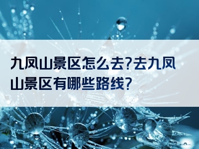 九凤山景区怎么去？去九凤山景区有哪些路线？