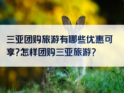 三亚团购旅游有哪些优惠可享？怎样团购三亚旅游？