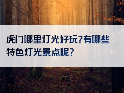 虎门哪里灯光好玩？有哪些特色灯光景点呢？