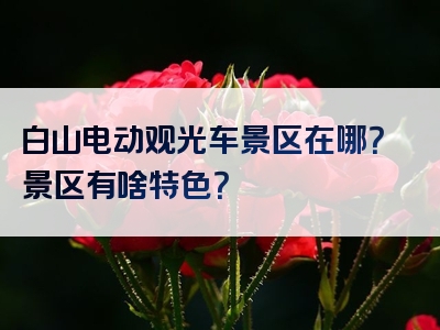 白山电动观光车景区在哪？景区有啥特色？