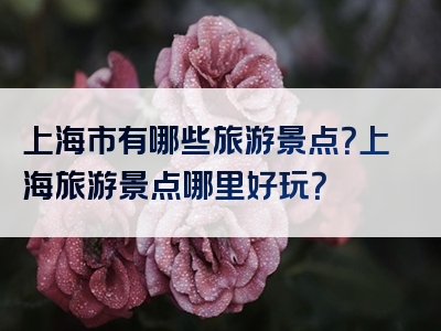 上海市有哪些旅游景点？上海旅游景点哪里好玩？
