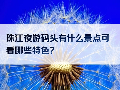 珠江夜游码头有什么景点可看哪些特色？