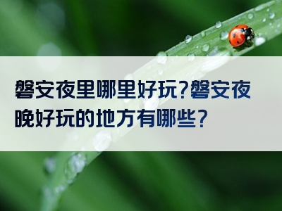 磐安夜里哪里好玩？磐安夜晚好玩的地方有哪些？
