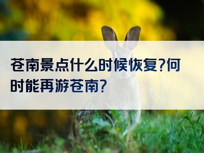 苍南景点什么时候恢复？何时能再游苍南？