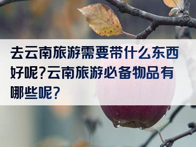 去云南旅游需要带什么东西好呢？云南旅游必备物品有哪些呢？