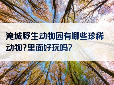 淹城野生动物园有哪些珍稀动物？里面好玩吗？