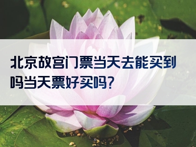 北京故宫门票当天去能买到吗当天票好买吗？