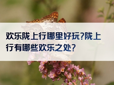 欢乐陇上行哪里好玩？陇上行有哪些欢乐之处？