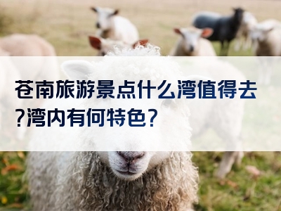 苍南旅游景点什么湾值得去？湾内有何特色？