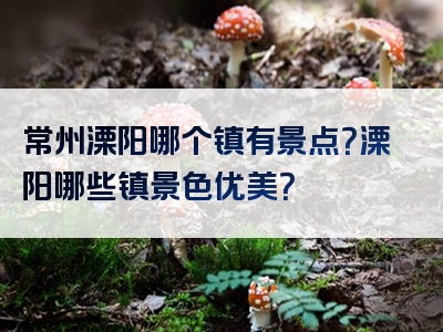常州溧阳哪个镇有景点？溧阳哪些镇景色优美？