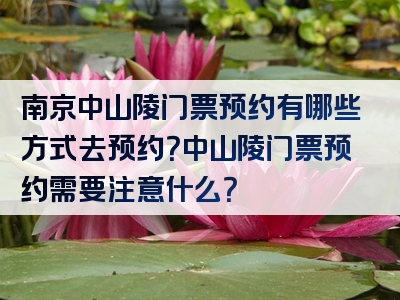 南京中山陵门票预约有哪些方式去预约？中山陵门票预约需要注意什么？
