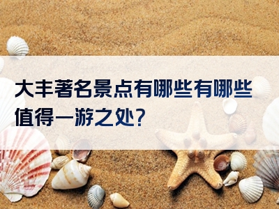 大丰著名景点有哪些有哪些值得一游之处？