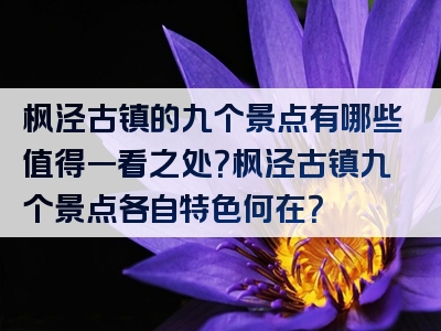 枫泾古镇的九个景点有哪些值得一看之处？枫泾古镇九个景点各自特色何在？