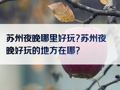 苏州夜晚哪里好玩？苏州夜晚好玩的地方在哪？