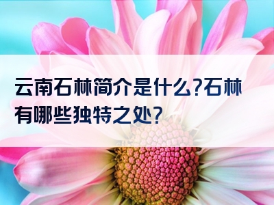 云南石林简介是什么？石林有哪些独特之处？