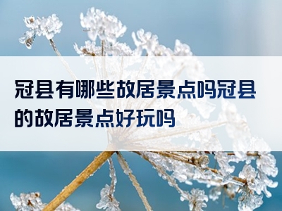 冠县有哪些故居景点吗冠县的故居景点好玩吗