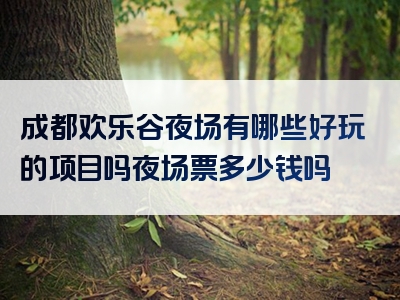 成都欢乐谷夜场有哪些好玩的项目吗夜场票多少钱吗