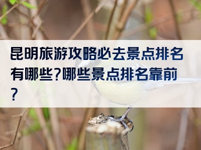 昆明旅游攻略必去景点排名有哪些？哪些景点排名靠前？