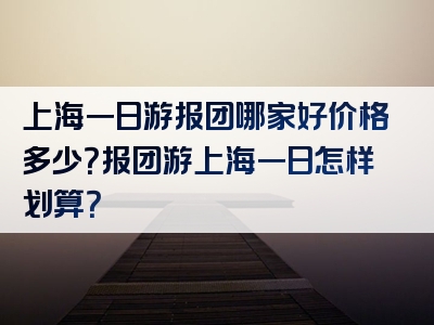 上海一日游报团哪家好价格多少？报团游上海一日怎样划算？