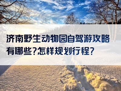 济南野生动物园自驾游攻略有哪些？怎样规划行程？