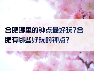 合肥哪里的钟点最好玩？合肥有哪些好玩的钟点？