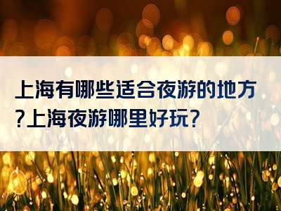 上海有哪些适合夜游的地方？上海夜游哪里好玩？