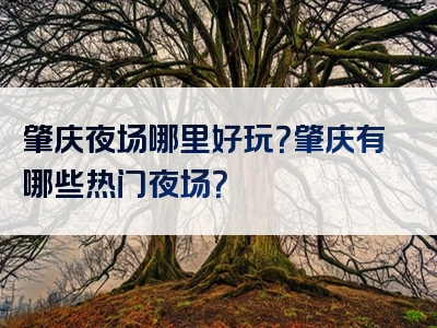 肇庆夜场哪里好玩？肇庆有哪些热门夜场？