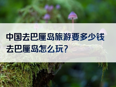 中国去巴厘岛旅游要多少钱去巴厘岛怎么玩？