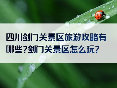 四川剑门关景区旅游攻略有哪些？剑门关景区怎么玩？