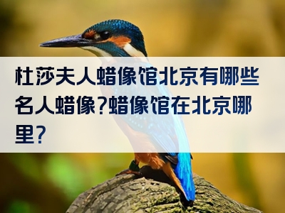 杜莎夫人蜡像馆北京有哪些名人蜡像？蜡像馆在北京哪里？