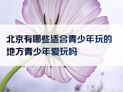 北京有哪些适合青少年玩的地方青少年爱玩吗