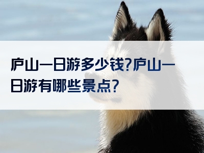 庐山一日游多少钱？庐山一日游有哪些景点？