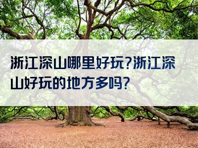 浙江深山哪里好玩？浙江深山好玩的地方多吗？