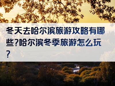 冬天去哈尔滨旅游攻略有哪些？哈尔滨冬季旅游怎么玩？