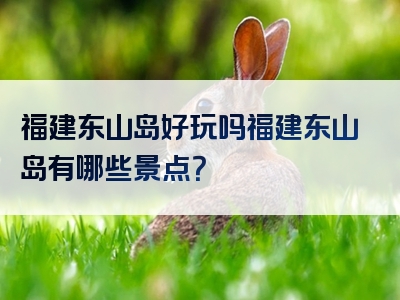 福建东山岛好玩吗福建东山岛有哪些景点？