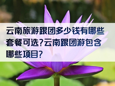 云南旅游跟团多少钱有哪些套餐可选？云南跟团游包含哪些项目？