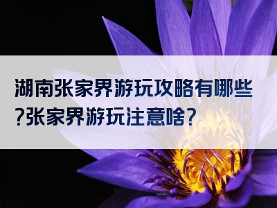 湖南张家界游玩攻略有哪些？张家界游玩注意啥？