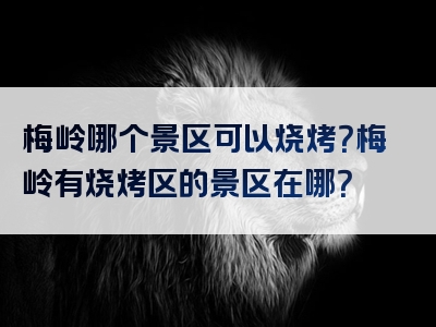 梅岭哪个景区可以烧烤？梅岭有烧烤区的景区在哪？