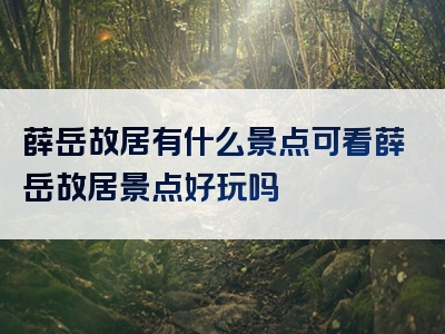 薛岳故居有什么景点可看薛岳故居景点好玩吗