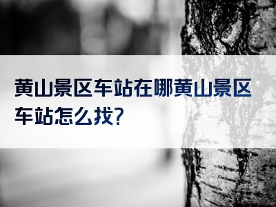 黄山景区车站在哪黄山景区车站怎么找？