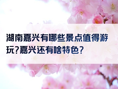 湖南嘉兴有哪些景点值得游玩？嘉兴还有啥特色？
