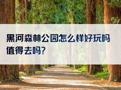 黑河森林公园怎么样好玩吗值得去吗？