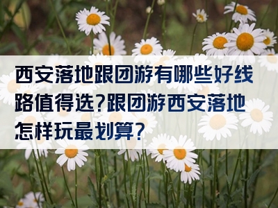 西安落地跟团游有哪些好线路值得选？跟团游西安落地怎样玩最划算？