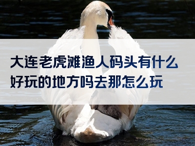 大连老虎滩渔人码头有什么好玩的地方吗去那怎么玩