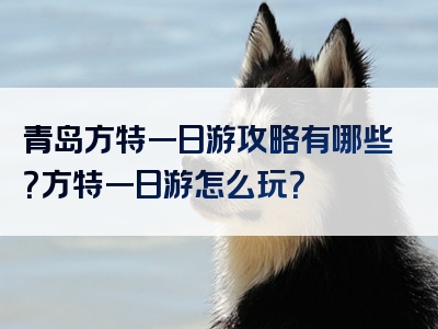 青岛方特一日游攻略有哪些？方特一日游怎么玩？