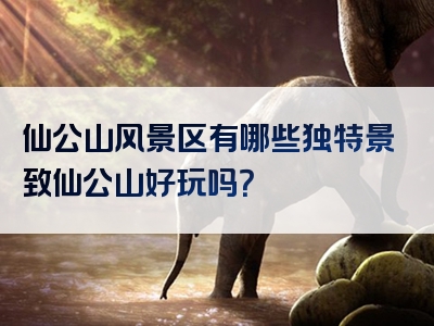 仙公山风景区有哪些独特景致仙公山好玩吗？